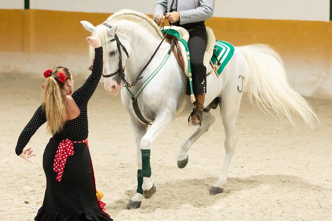 Horse and Flamenco Show in Malaga with Dinner - The five-kilometre move to the restaurant