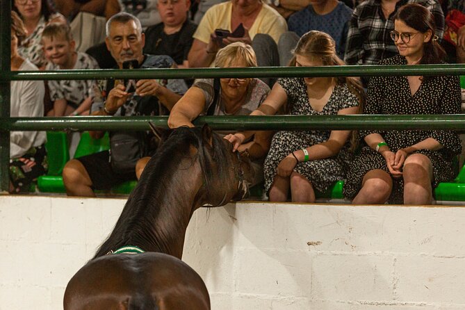 Horse and Flamenco Show in Malaga with Dinner - What the $86.57 price really covers