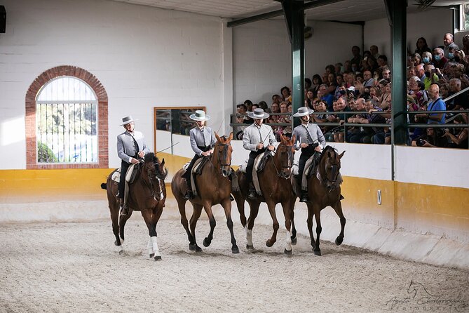 Horse and Flamenco Show in Malaga with Dinner - Ritmo a Caballo from 5:45 to 7:30 pm