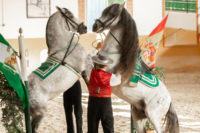 Horse and Flamenco Show in Malaga - The horses and riding style