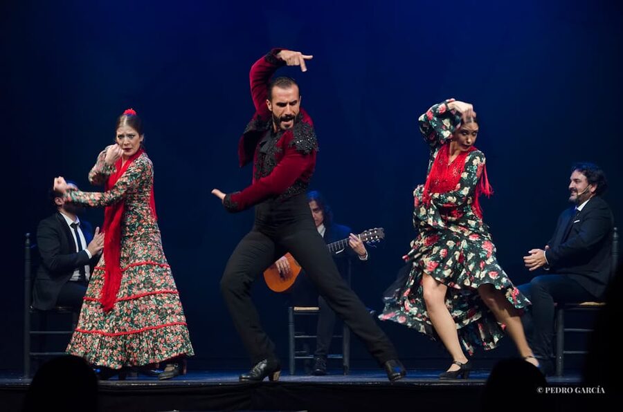 Madrid: "Emociones" Live Flamenco Performance - Key points at a glance