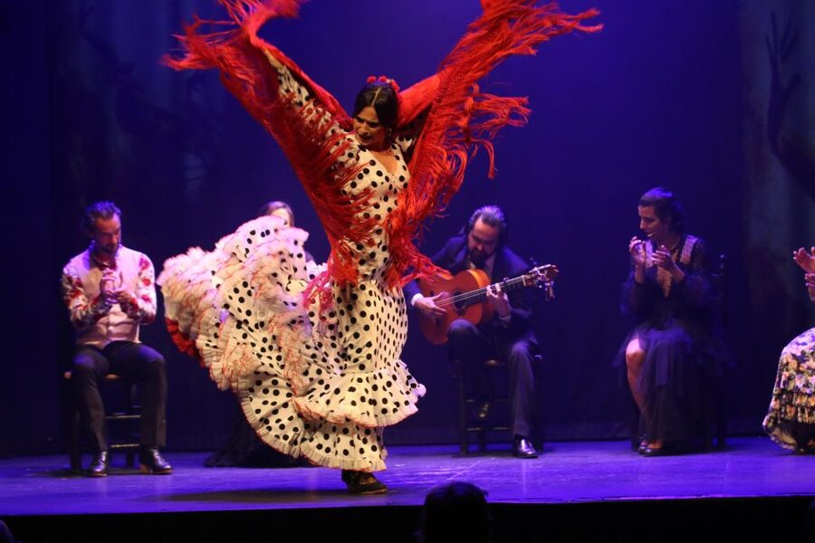 Madrid: "Emociones" Live Flamenco Performance - Drinks, service, and the small practical details