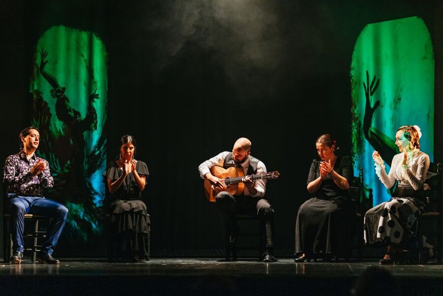 Madrid: "Emociones" Live Flamenco Performance - Is $34 a fair price?