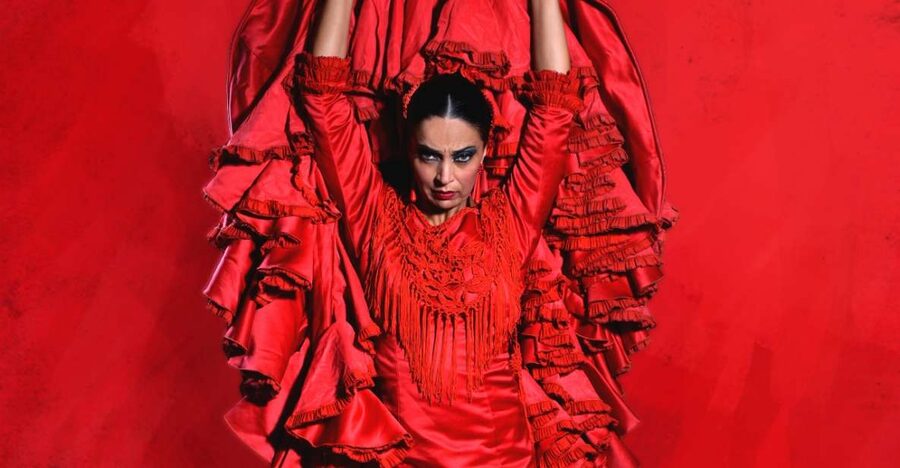 Madrid: "Emociones" Live Flamenco Performance - Who should book Emociones?