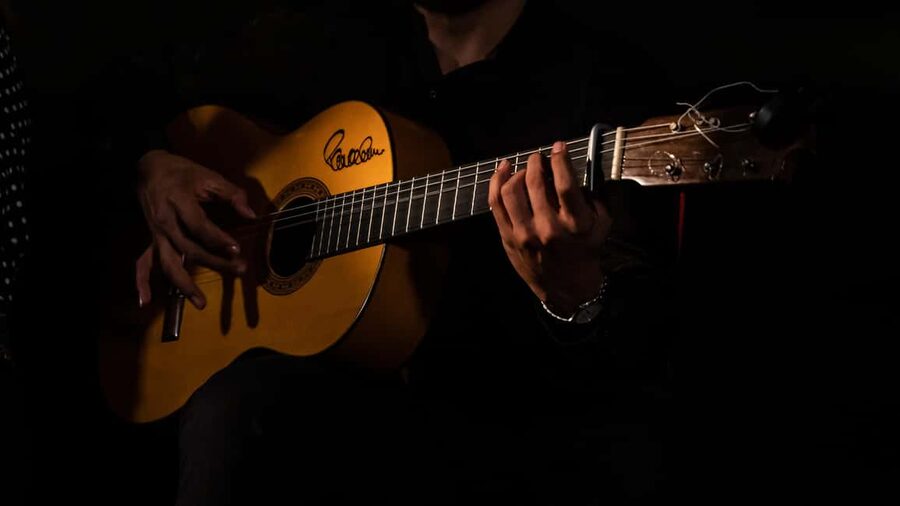 Madrid: Flamenco Show at Tablao La Manuela - The Performers and the Feel of the Music
