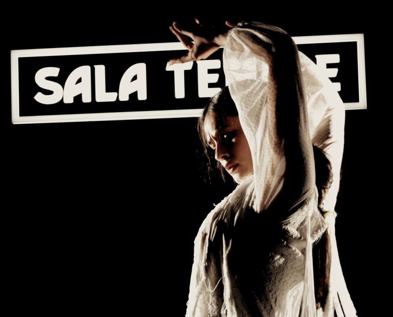 Madrid: Flamenco Show at Tablao Sala Temple with Drink - A Convenient Madrid Evening Near the Royal Palace