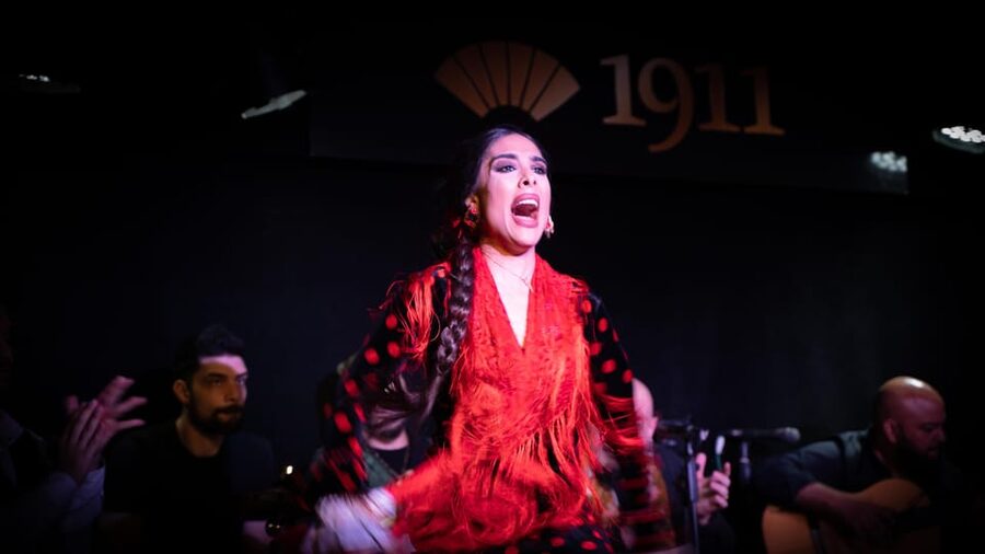 Madrid: Flamenco Show&Drink at Tablao 1911 (World's Oldest) - The small theater atmosphere