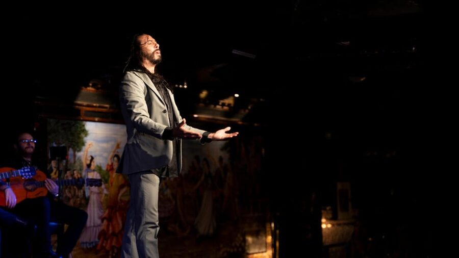 Madrid: Flamenco Show&Drink at Tablao 1911 (World's Oldest) - How the flamenco styles shape the performance