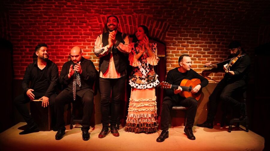 Madrid: Flamenco Show Entry Ticket with Drink & Artist Talk - What the $41 price includes