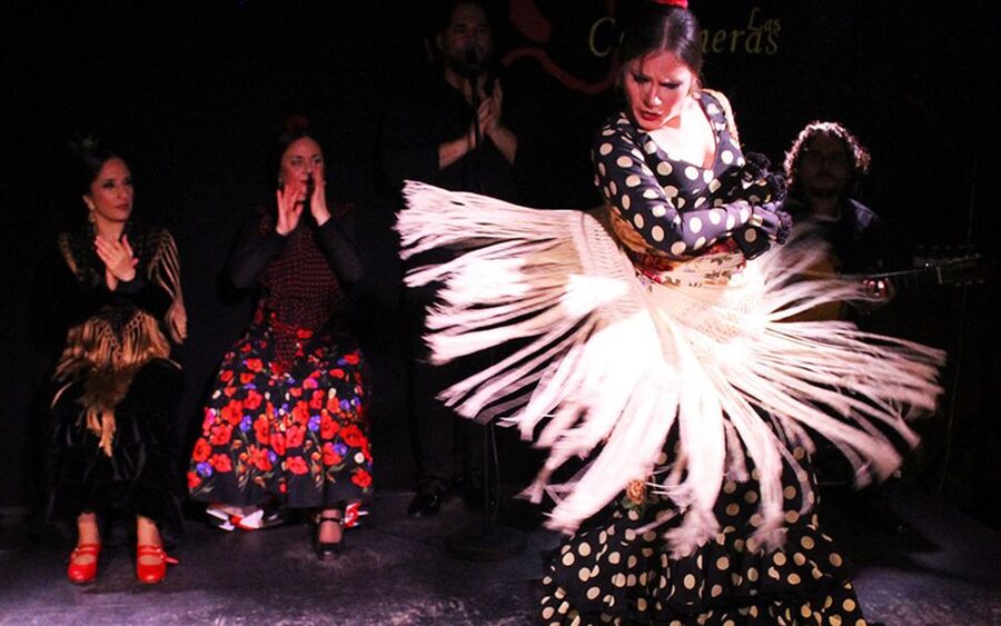 Madrid: Flamenco Show with Tapas and Wine Tour - Iberian ham, sausages, and a specialty shop