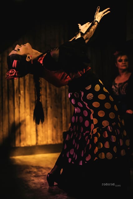 Madrid: Local Flamenco Show at El Cortijo - The small room changes the performance