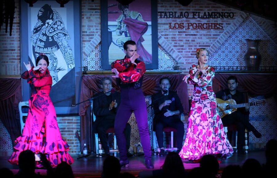 Madrid: Los Porches Flamenco Show with Tapas and Wine Ticket - Should you book the Los Porches flamenco show?