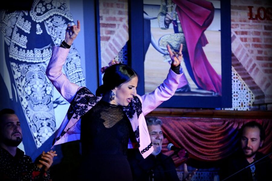 Madrid: Los Porches Flamenco Show with Tapas and Wine Ticket - Three stages, three settings, one large venue