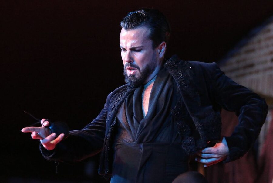 Madrid: Los Porches Flamenco Show with Tapas and Wine Ticket - Is $53 a good value?