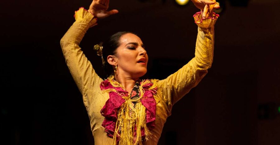 Madrid: Tablao de La Villa Flamenco Show - Entering a 19th-century palace house
