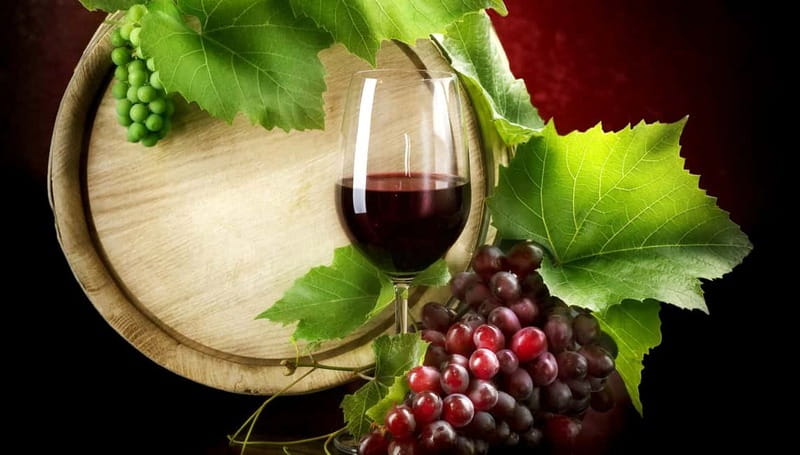 Madrid Wine Tasting, Flamenco Class and Trendy Bar - Is $87 a fair price?