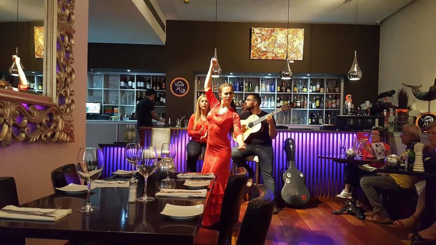 Malaga: Authentic Flamenco Dinner Show at Restaurant VinoMio - Dinner is part of the plan, but not part of the ticket