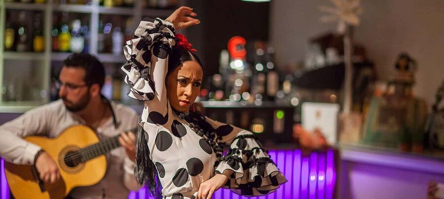 Malaga: Authentic Flamenco Dinner Show at Restaurant VinoMio - Fixed showtimes require a little planning