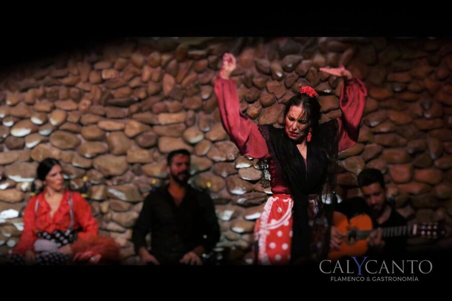 Malaga: Authentic Flamenco Show at El Gallo Ronco - The room, seating, and sightlines
