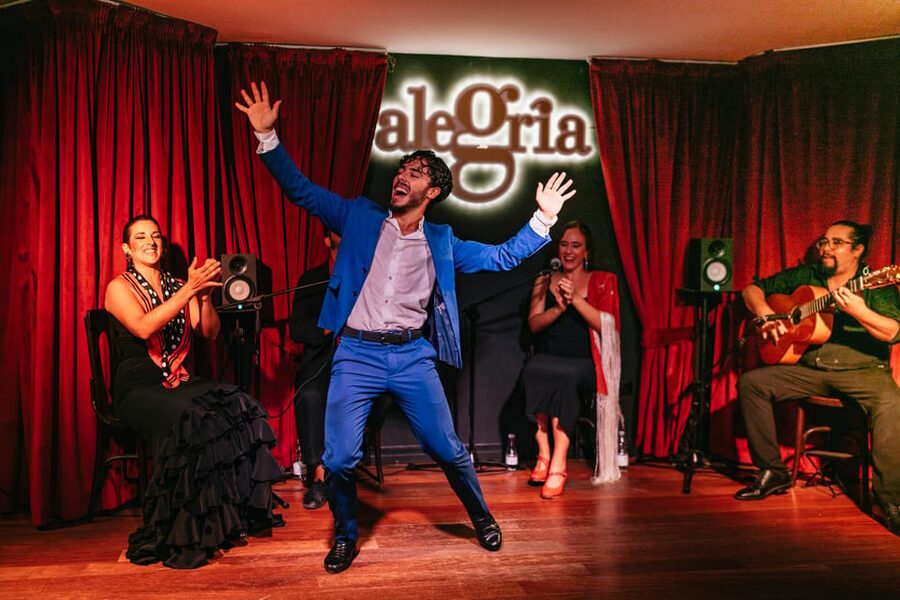 Málaga: Live Flamenco Show at Flamenco Alegría - The venue near Málaga’s harbor