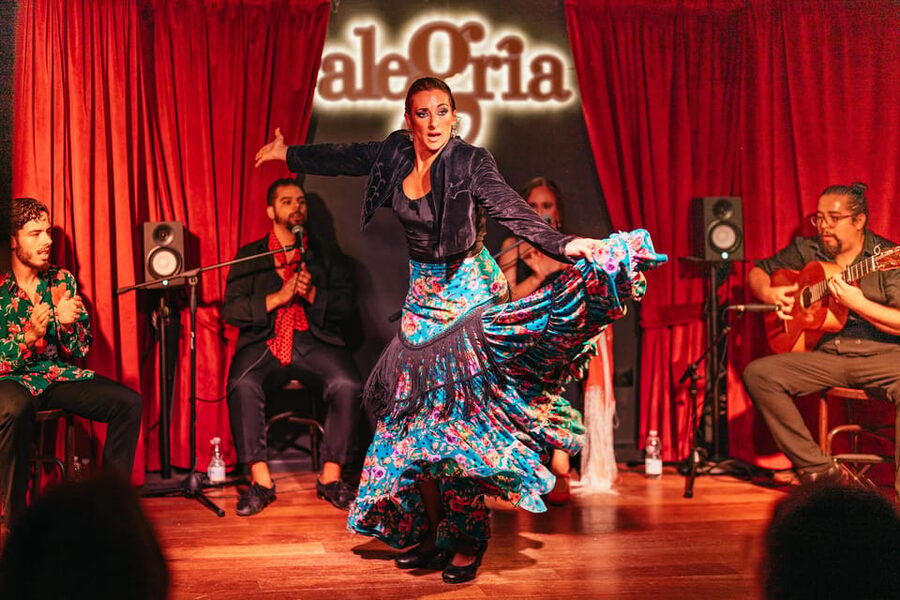 Málaga: Live Flamenco Show at Flamenco Alegría - What makes the performance worth the price