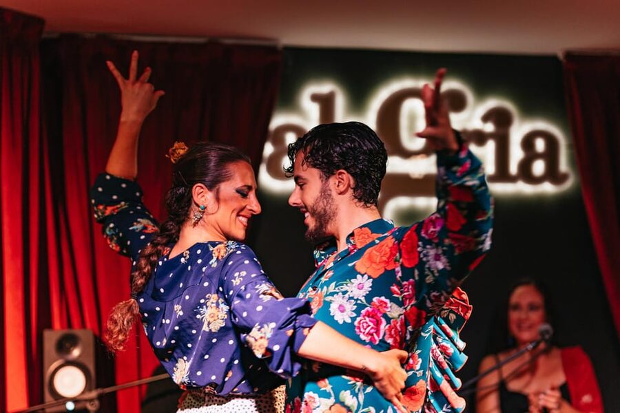 Málaga: Live Flamenco Show at Flamenco Alegría - Who should book this show