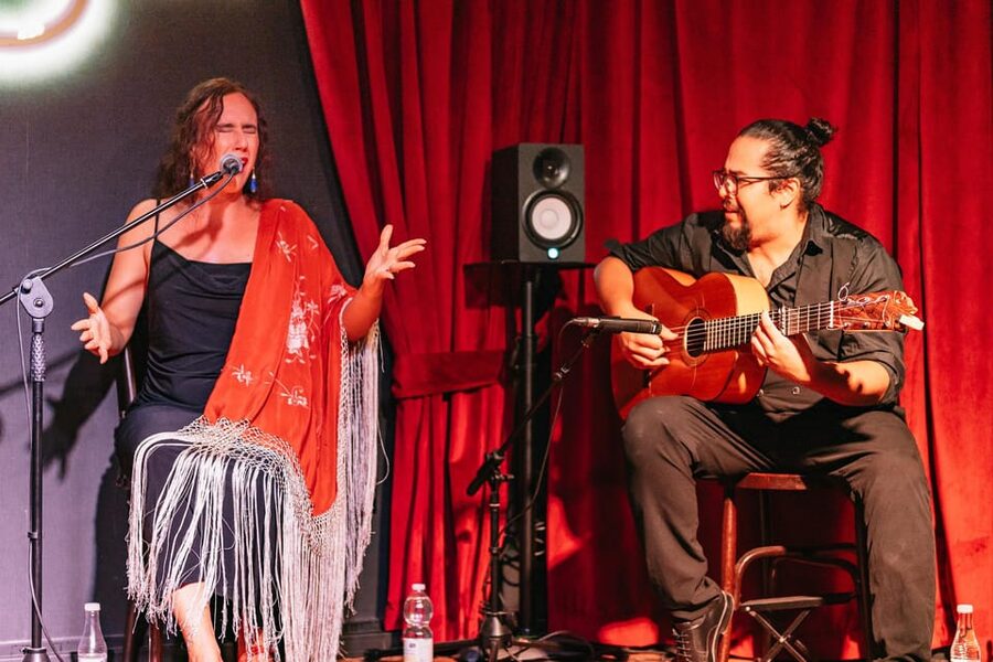 Málaga: Live Flamenco Show at Flamenco Alegría - Languages, timing, and booking flexibility