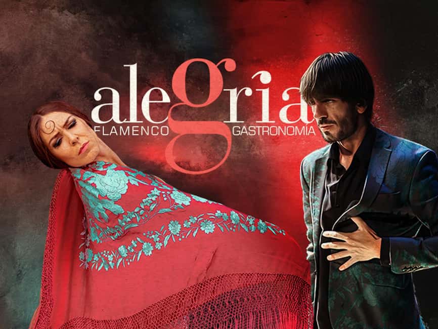 Málaga: Live Flamenco Show at Flamenco Alegría - From opening scene to guitar and dance solos