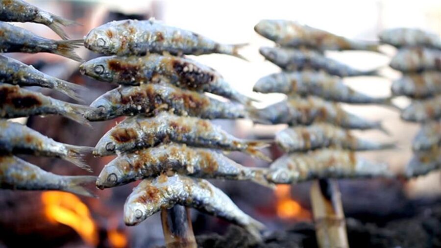 Malaga: PREMIUM TAPAS TOUR Paella, Tapas, Winery & Flamenco - Who should book this experience?