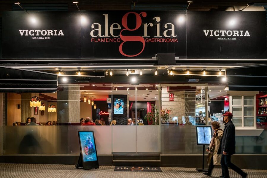 Malaga: Show and Food at Alegría Flamenco and Restaurant - Is $67 a fair price?