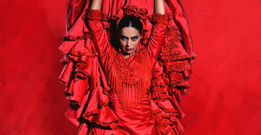 Malaga: Teatro Flamenco Malaga Live Flamenco Show - Key points before you book