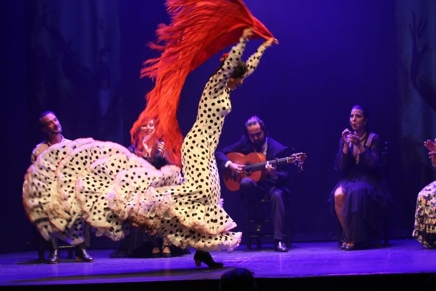 Malaga: Teatro Flamenco Malaga Live Flamenco Show - What happens during the one-hour Esencia show
