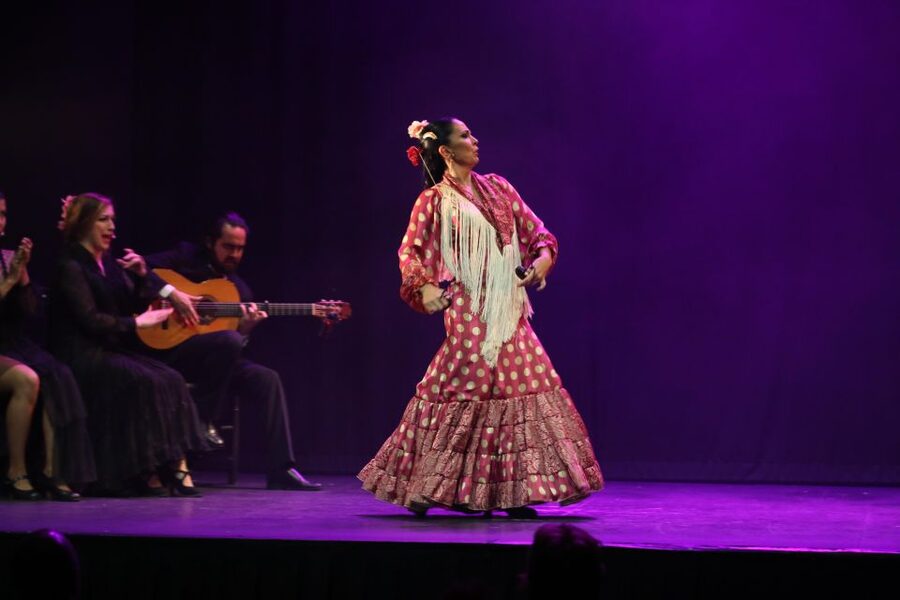 Malaga: Teatro Flamenco Malaga Live Flamenco Show - The dancers, singers, and guitarist