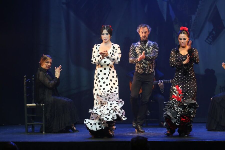 Malaga: Teatro Flamenco Malaga Live Flamenco Show - Who should book this Malaga flamenco show?