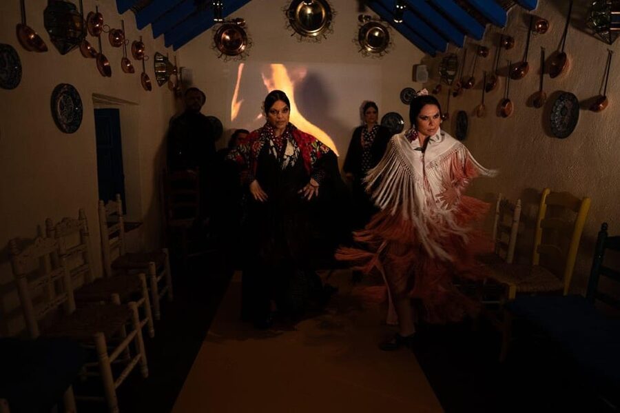Marbella: Flamenco Show with a Drink - Who will enjoy this flamenco experience