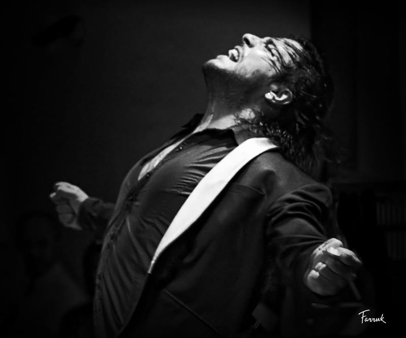 Mexico City: Flamenco Tablao Live Show & dinner - Should you book Mexico City’s flamenco tablao show?