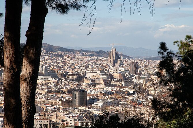 Montjuïc Walking Tour With Optional Flamenco Show - Fountains and sculptures at Jardins de Joan Brossa