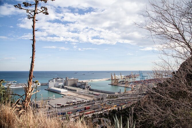 Montjuïc Walking Tour With Optional Flamenco Show - Sea views at Jardins del Mirador del Alcalde
