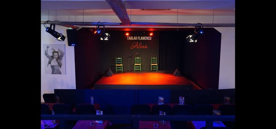 Palma: Flamenco Show at Tablao Flamenco Alma with Drink - Seating, sightlines, and family considerations