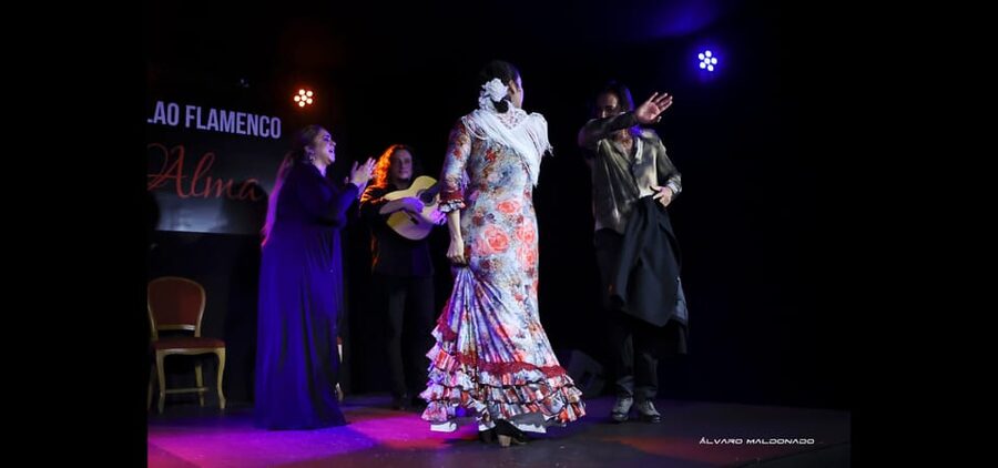 Palma: Flamenco Show at Tablao Flamenco Alma with Drink - What happens during the one-hour show