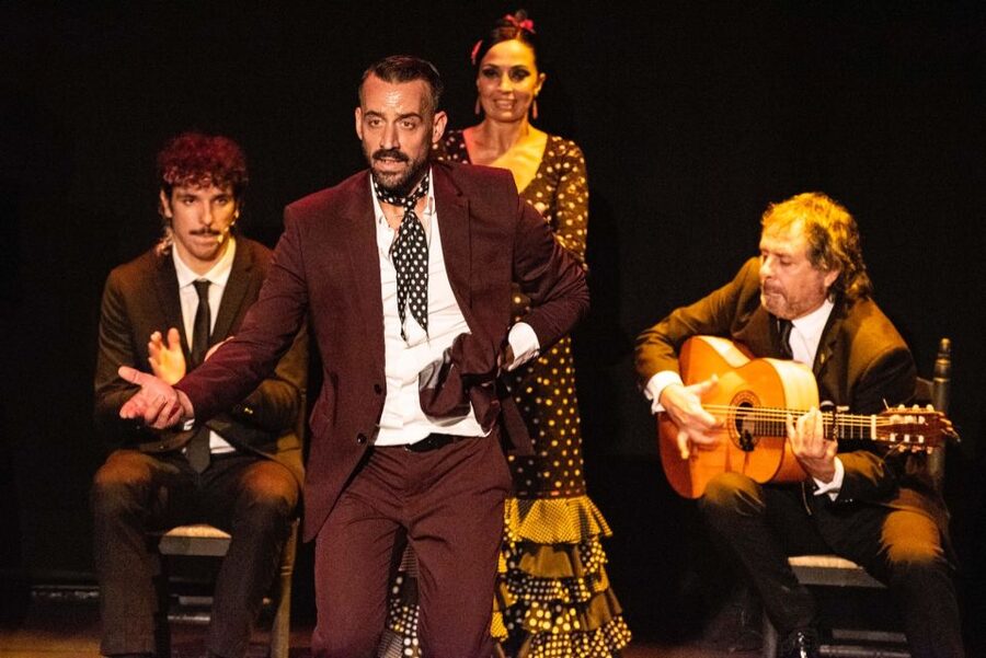 Panoramic Guadalquivir Cruise + Flamenco Show & Walking tour - Flamenco at Pathé Theatre