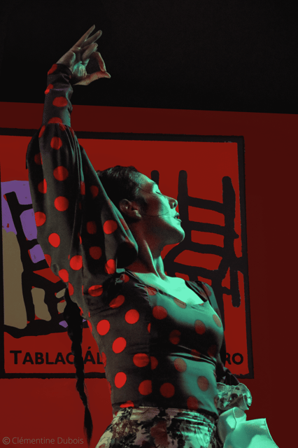 Sevilla: Flamenco Show at Tablao Álvarez Quintero - Inside Tablao Álvarez Quintero’s small theater