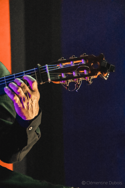 Sevilla: Flamenco Show at Tablao Álvarez Quintero - The singer and guitarist carry the mood