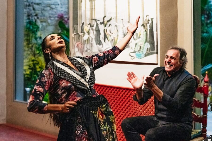 Seville: Casa de la Memoria Flamenco Show - The ticket pickup instructions need care