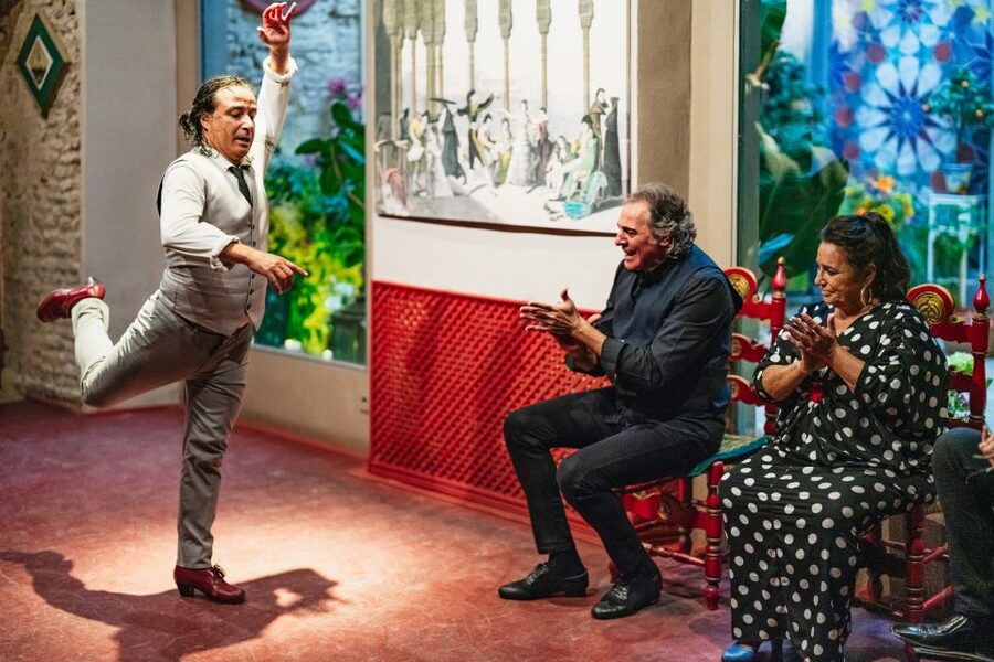 Seville: Casa de la Memoria Flamenco Show - What makes the performance memorable