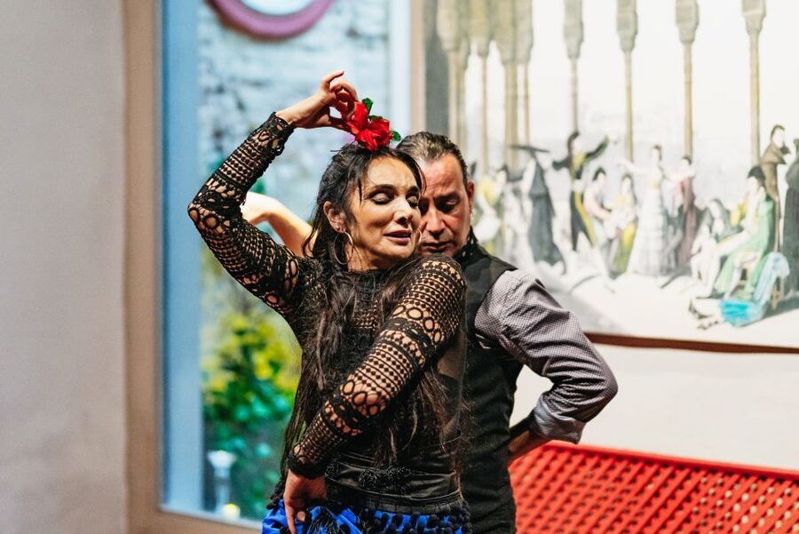 Seville: Casa de la Memoria Flamenco Show - Who should book this show