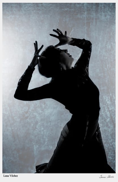 Seville: Enjoy a class of approach to flamenco - Who will enjoy this Seville flamenco class