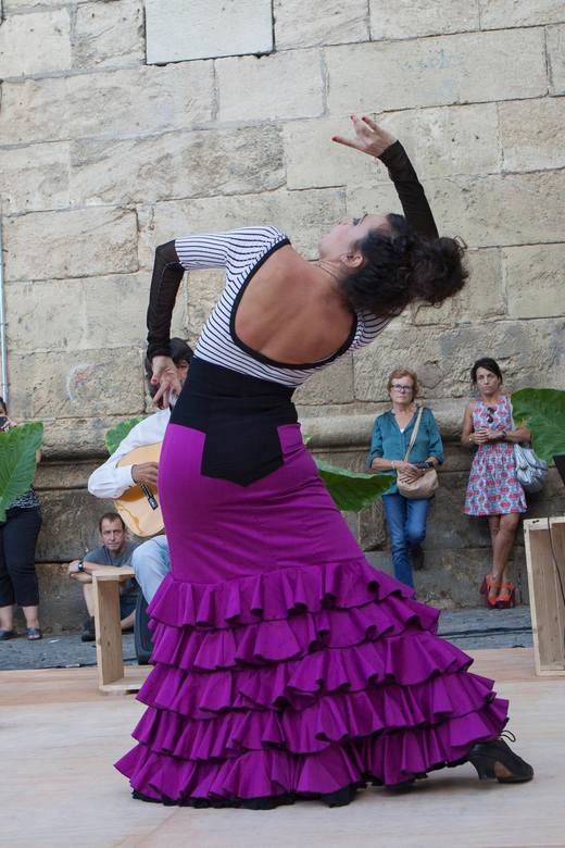 Seville: Enjoy a class of approach to flamenco - The meaning behind the steps and singing