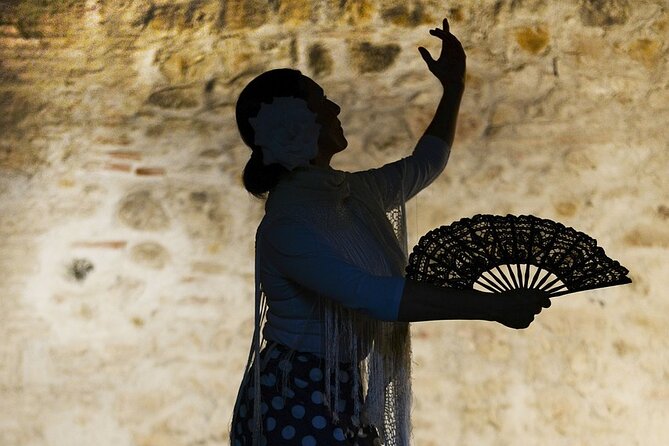 Seville Flamenco EBike Tour and Flamenco Show - Timing, weather, and practical comfort