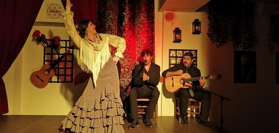 Seville: Flamenco Show at Tablao Flamenco Andalusí - Who should book this flamenco show?